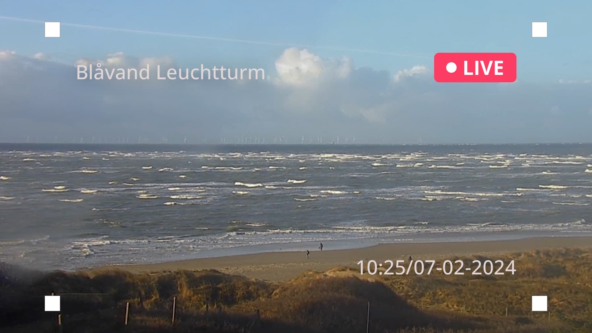 Blåvand_Strand_livestream